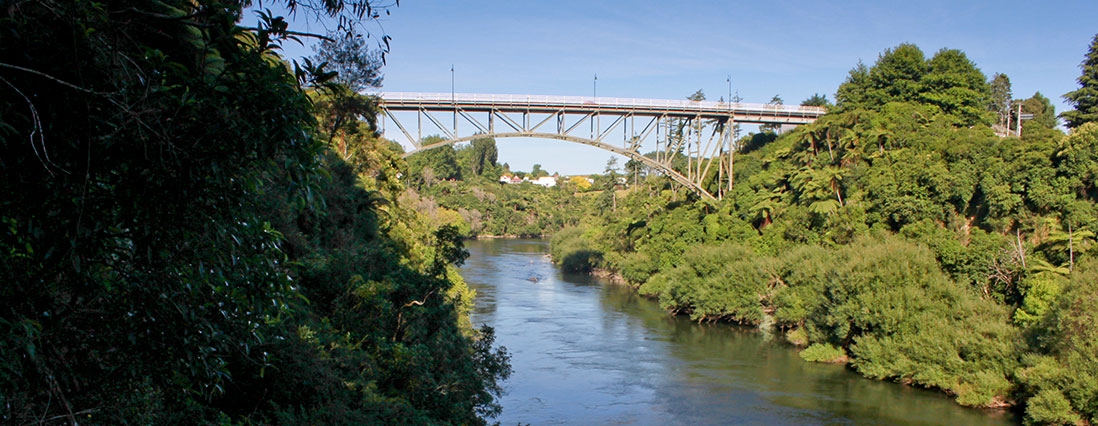 attractions of Cambridge in Waikato NZ