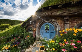 Hobbiton Tours